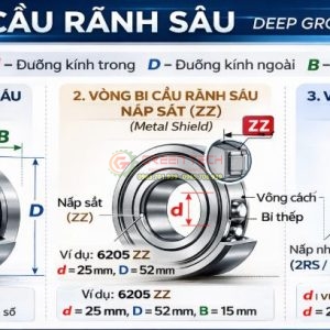 VÒNG BI CẦU GIÁ RẺ